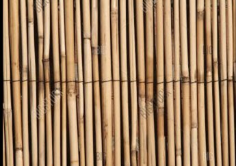 Bambu  Hangi Tarihte Kimler Tarafından İcat Edilmiştir?